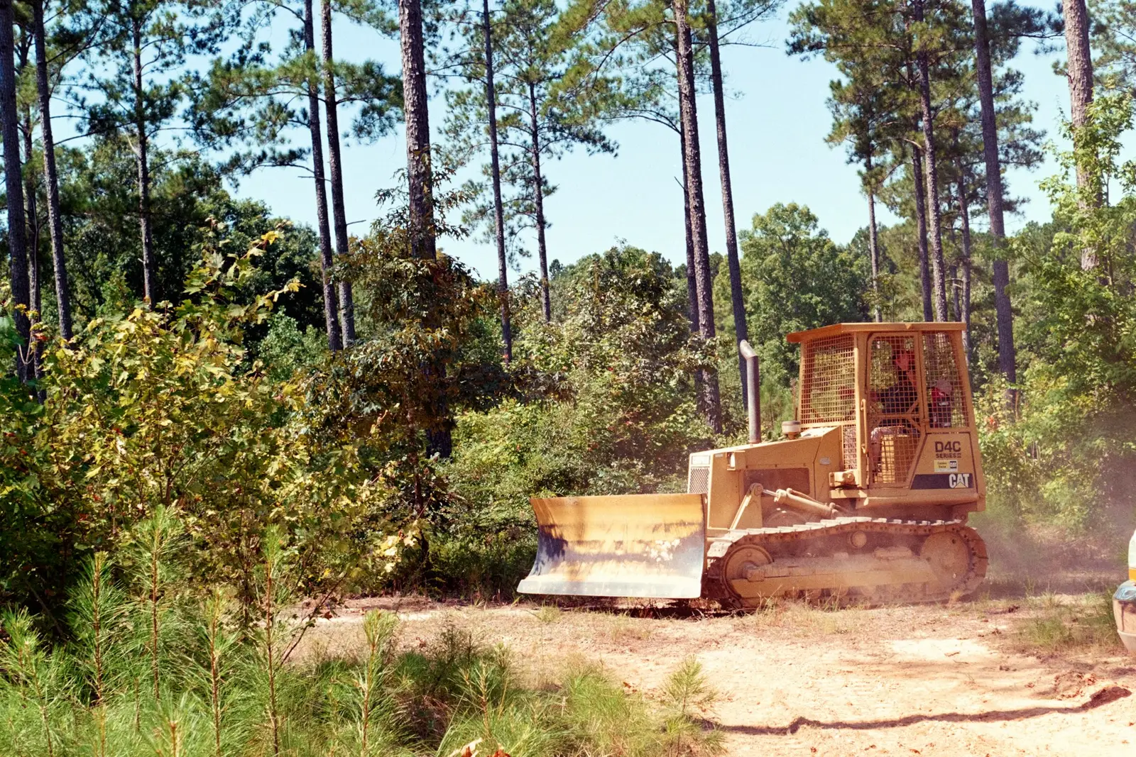 Bulldozer clearing along a treeline