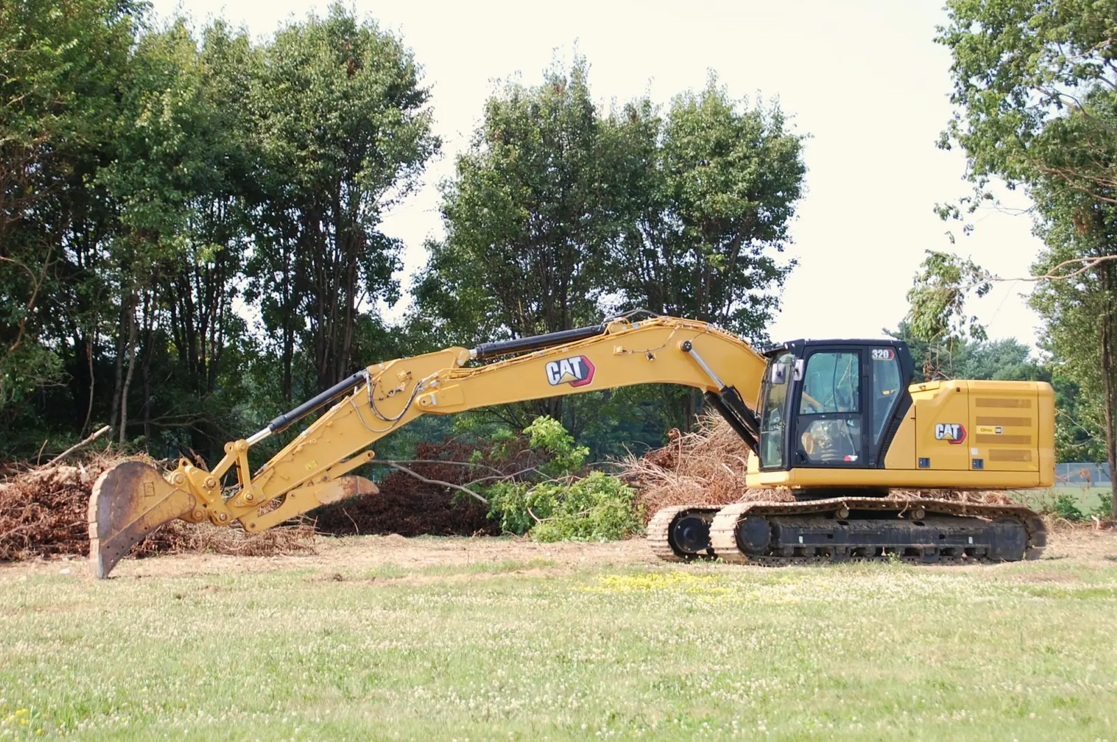 Excavator working among felled trees